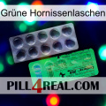 Grüne Hornissenlaschen new04